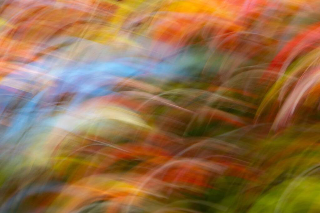 ICM Fall colors and blue sky