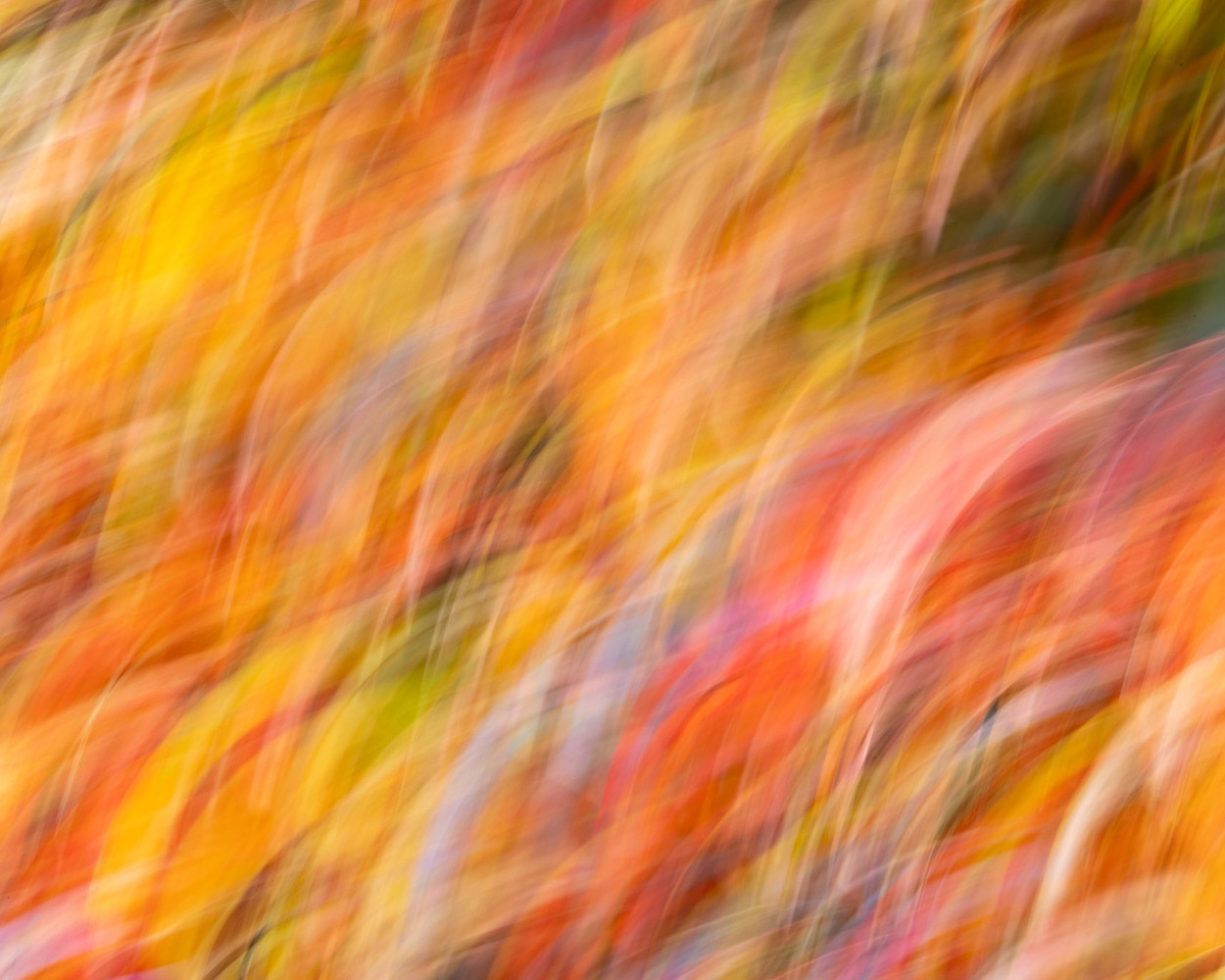 ICM fall colors