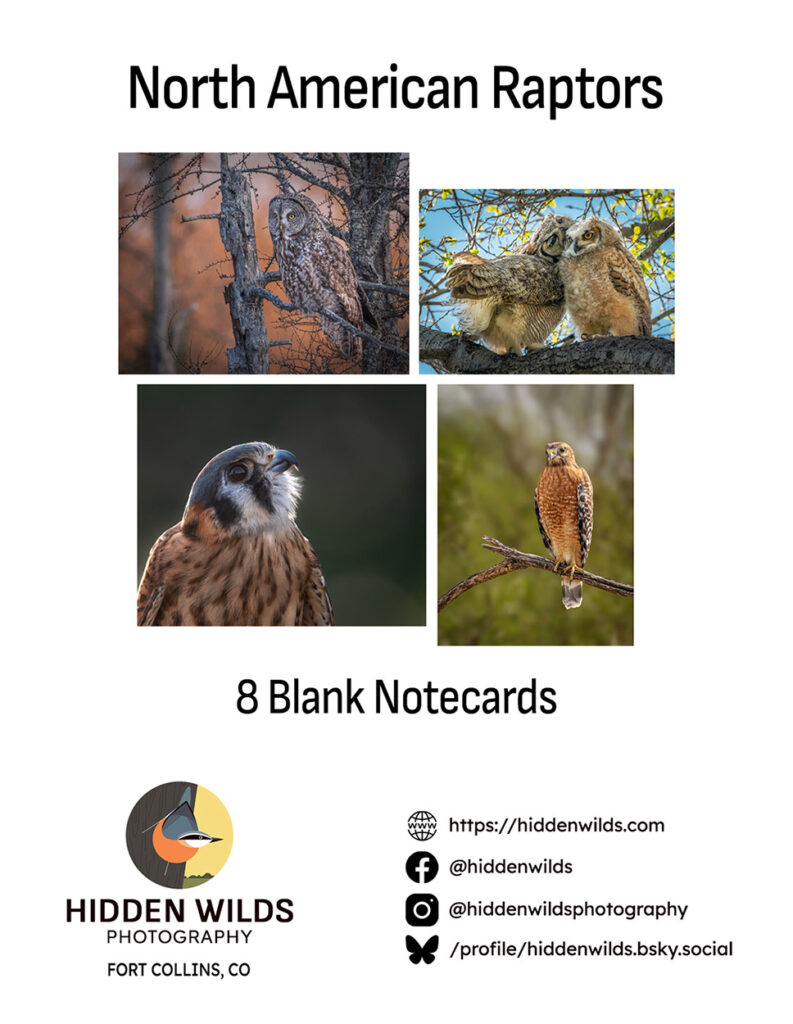 Raptors notecard guide