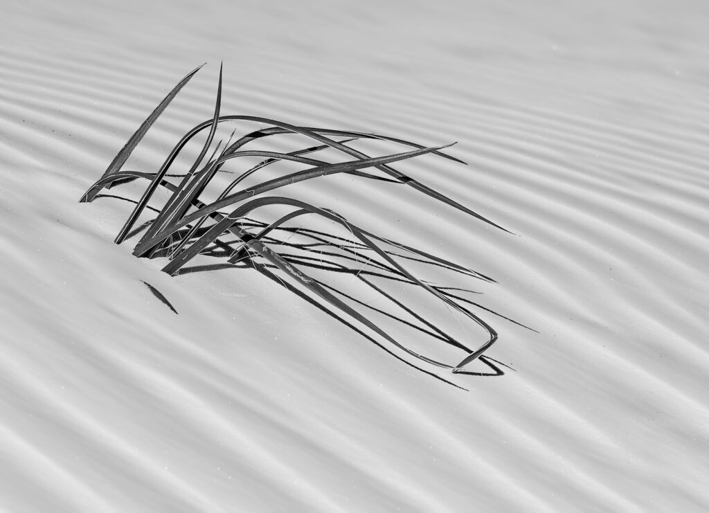Ripples, White Sands NP, New Mexico