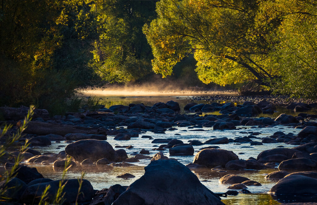 Poudre River Misty Morning, Fort Collins, Colorado
