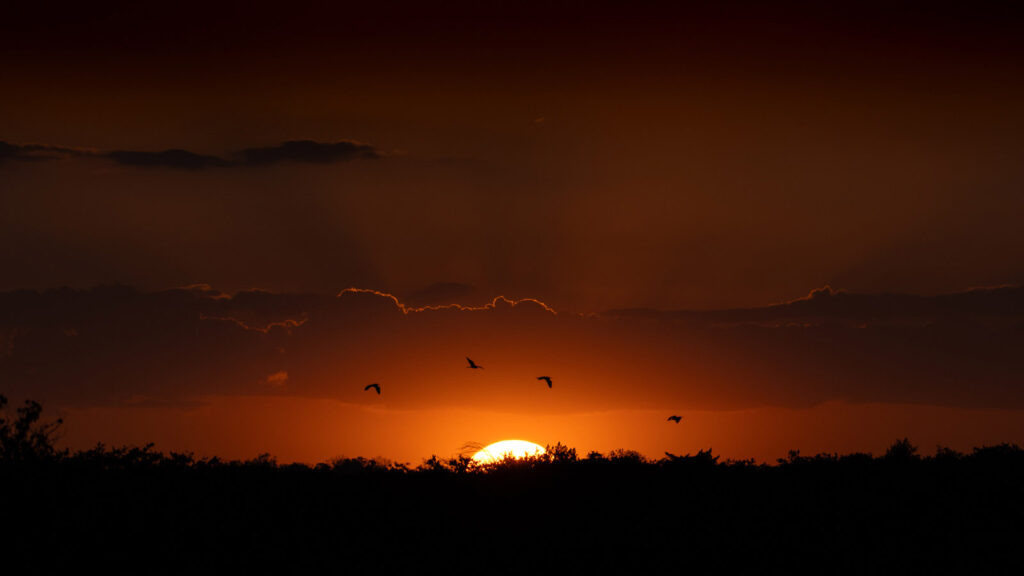Florida Sunset