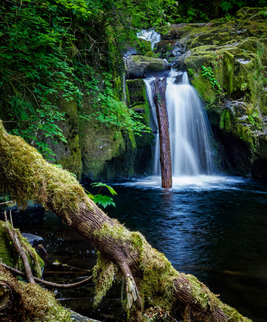 Sweet Creek Falls