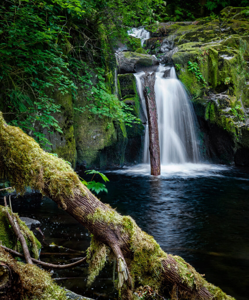Sweet Creek Falls