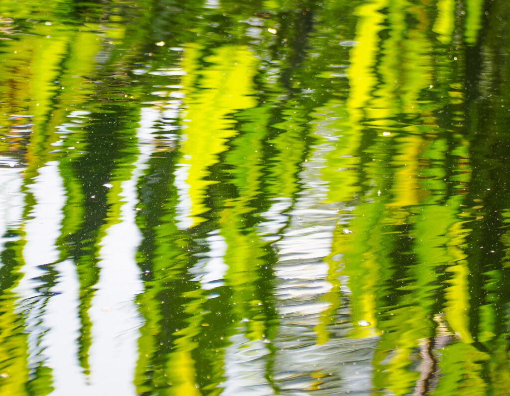 Reflections