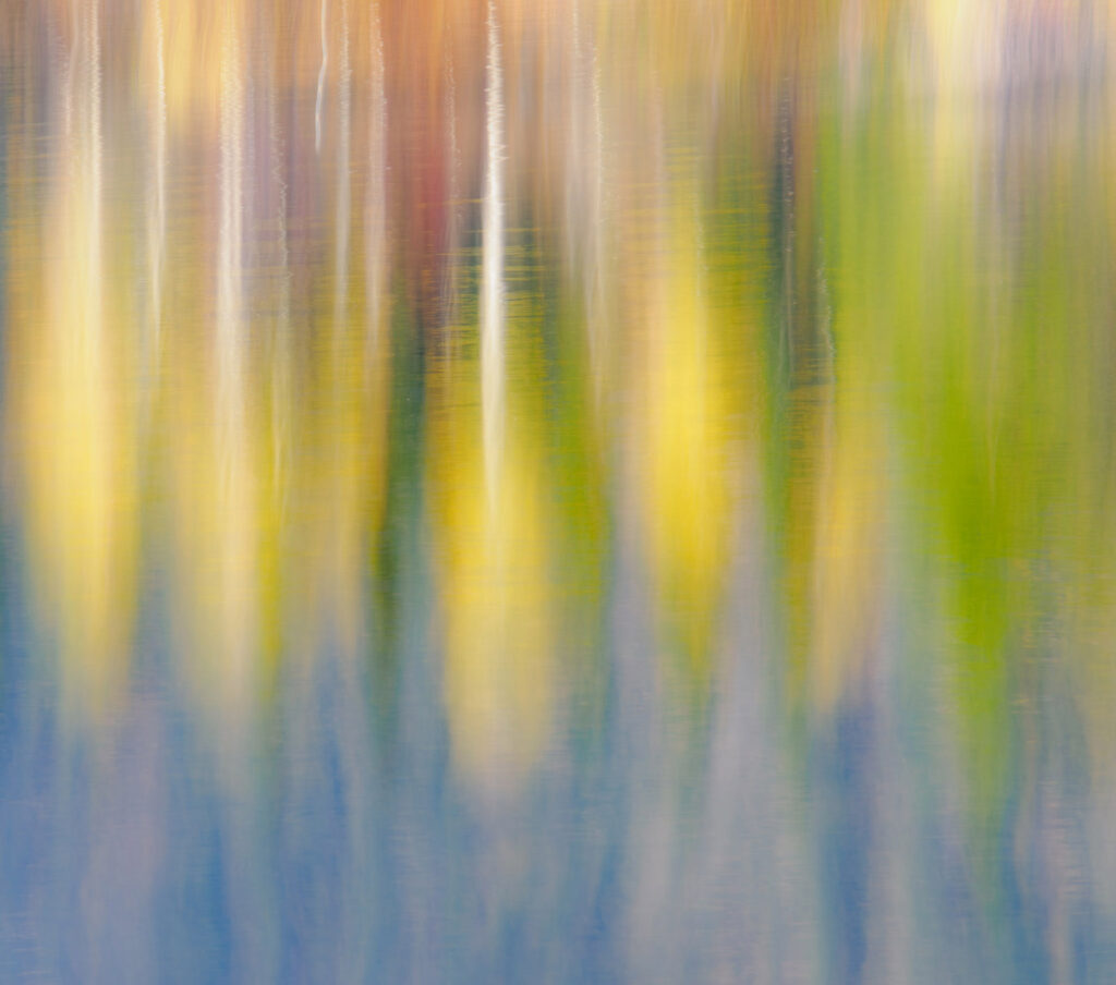 Aspen Reflections