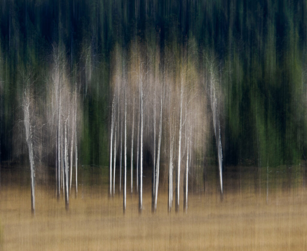 Aspen ICM
